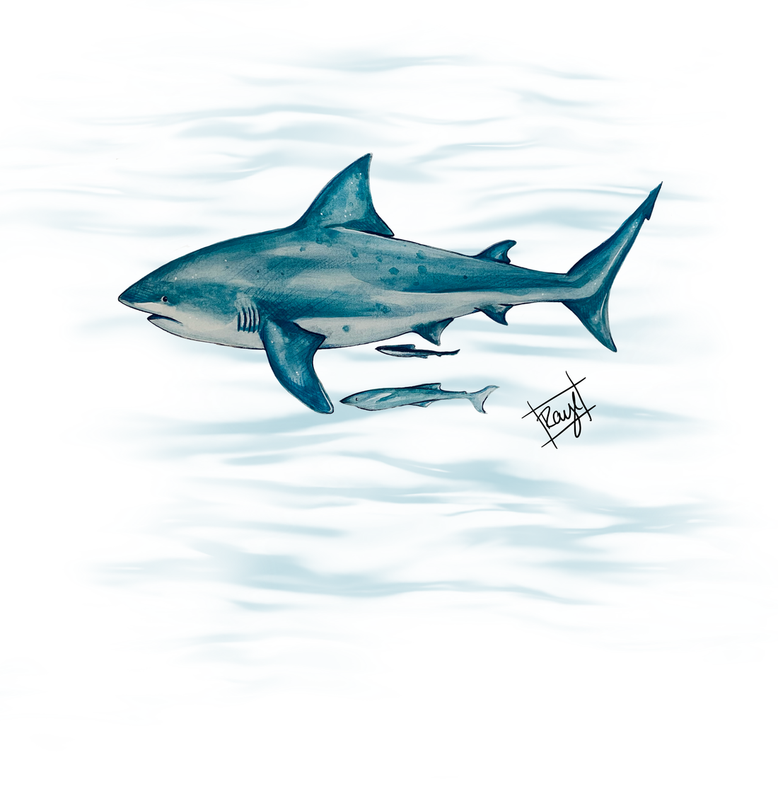 Bull Shark Giclee Art on Canvas-Signed by Rachel Bowman