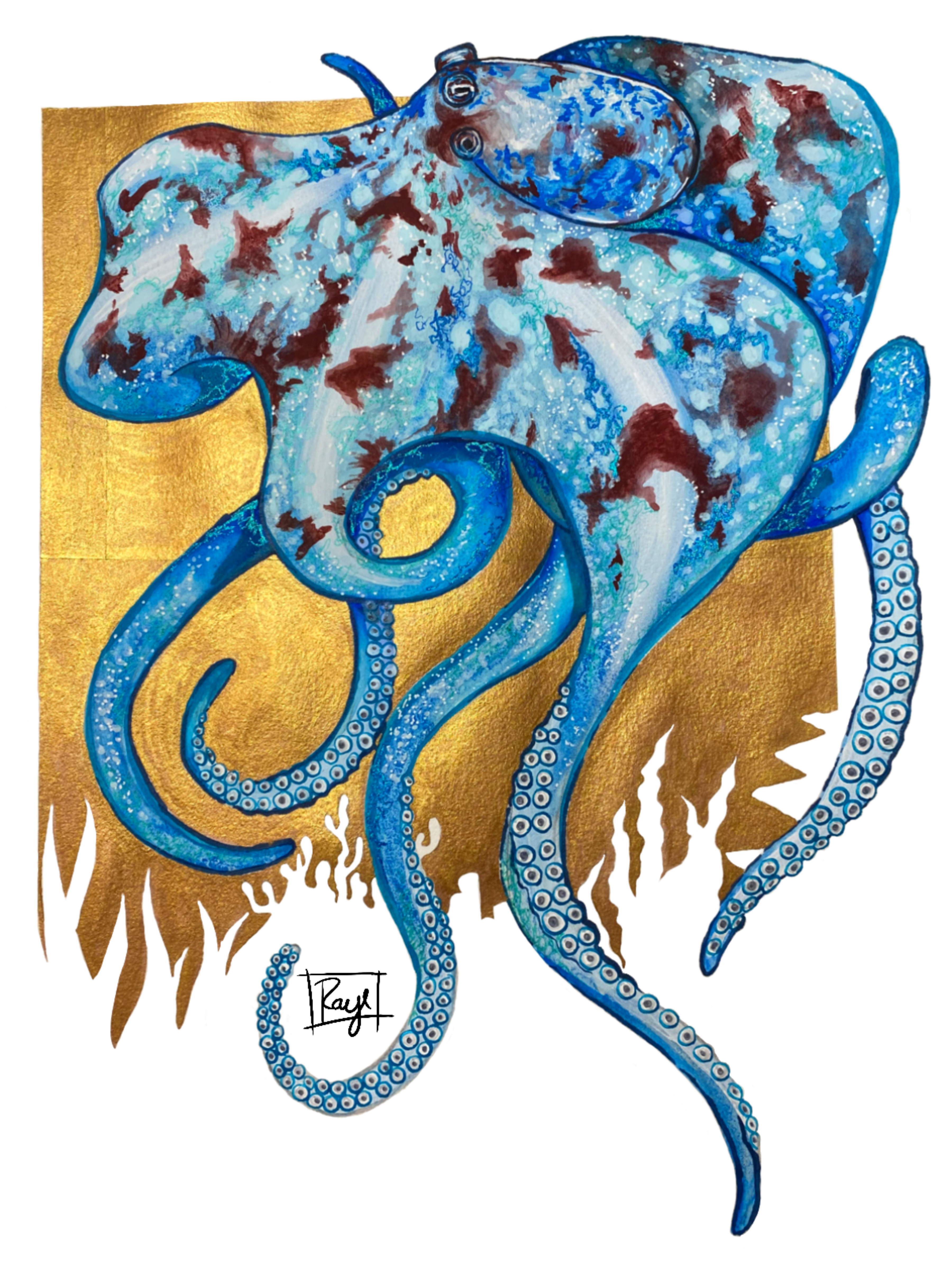 Youth Caribbean Reef Octopus-Raye&