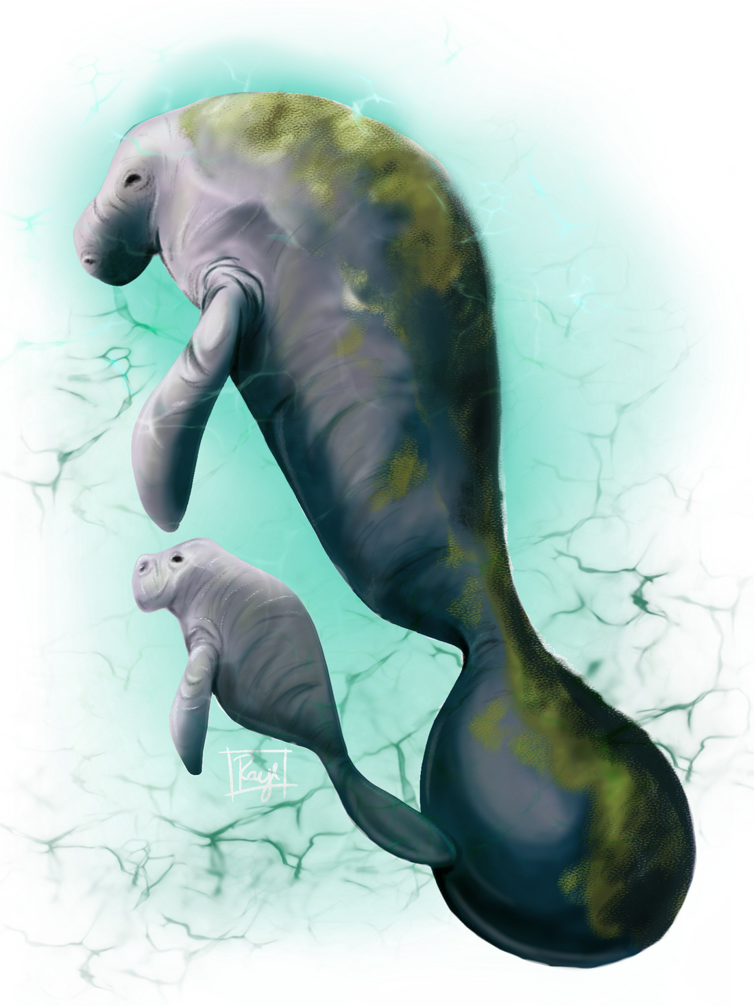 Florida Manatee Giclee Art on Canvas-Signed by Rachel Bowman