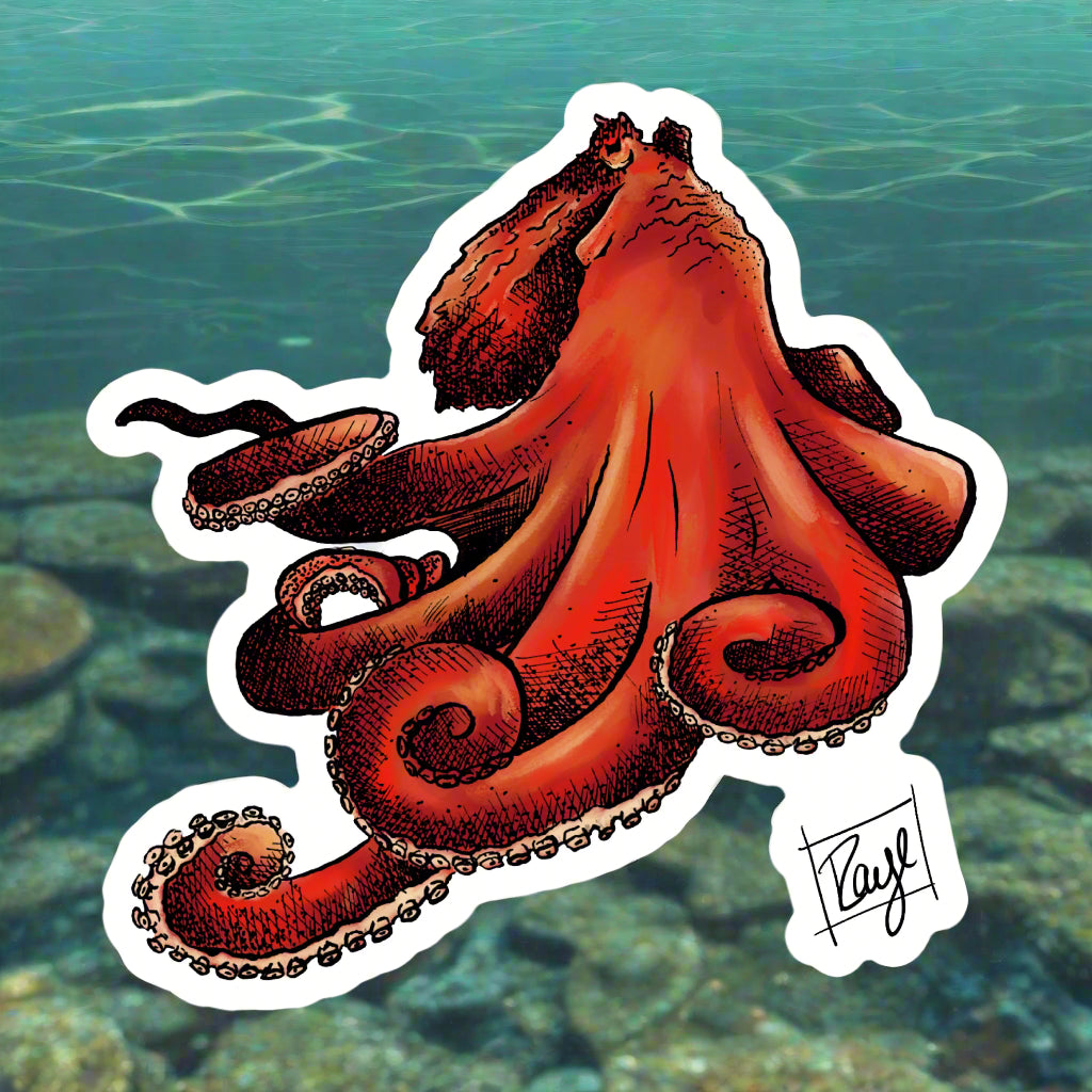 Giant Pacific Octopus