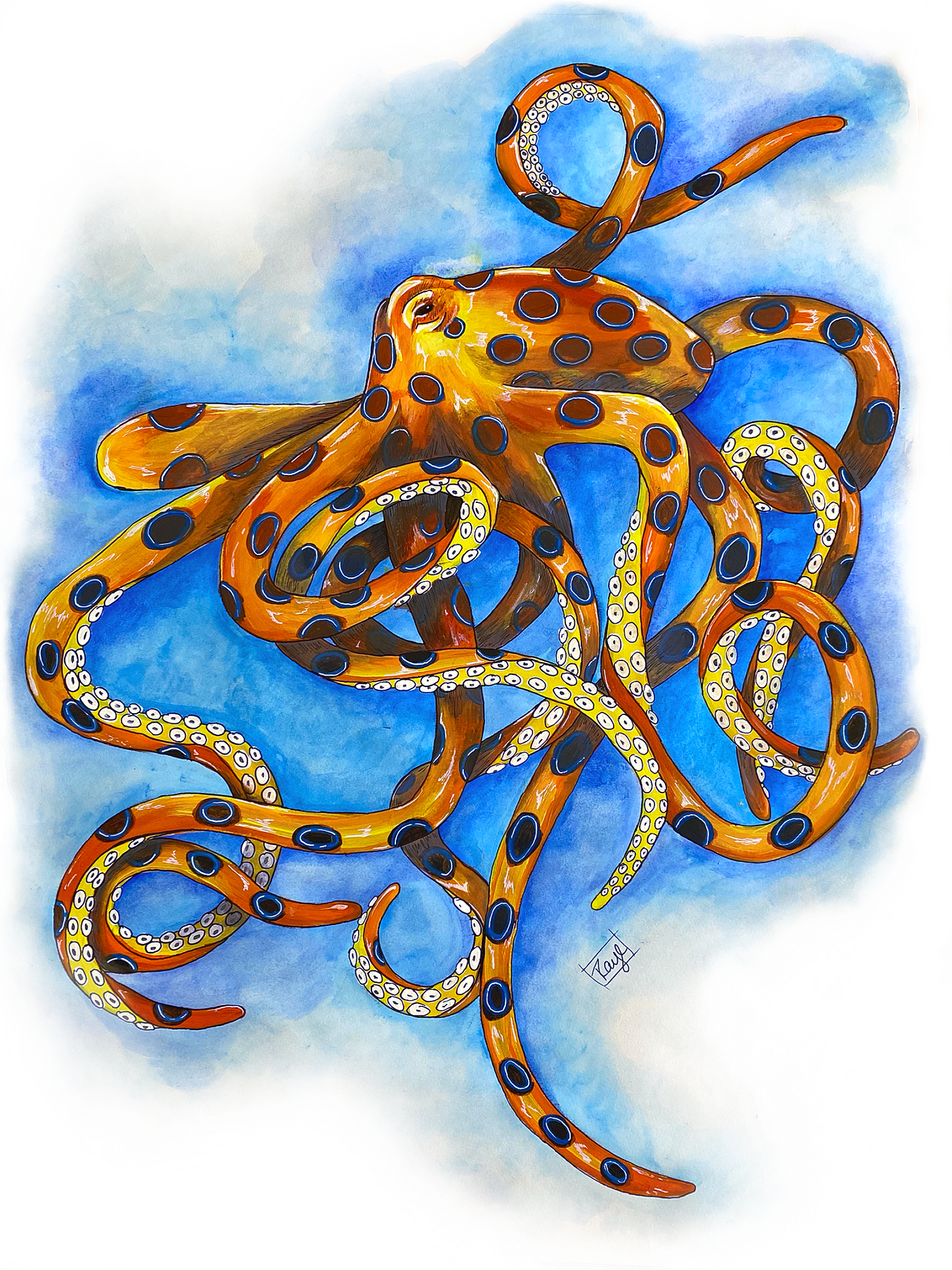 Giclee art on Canvas-Octopus-Raye&