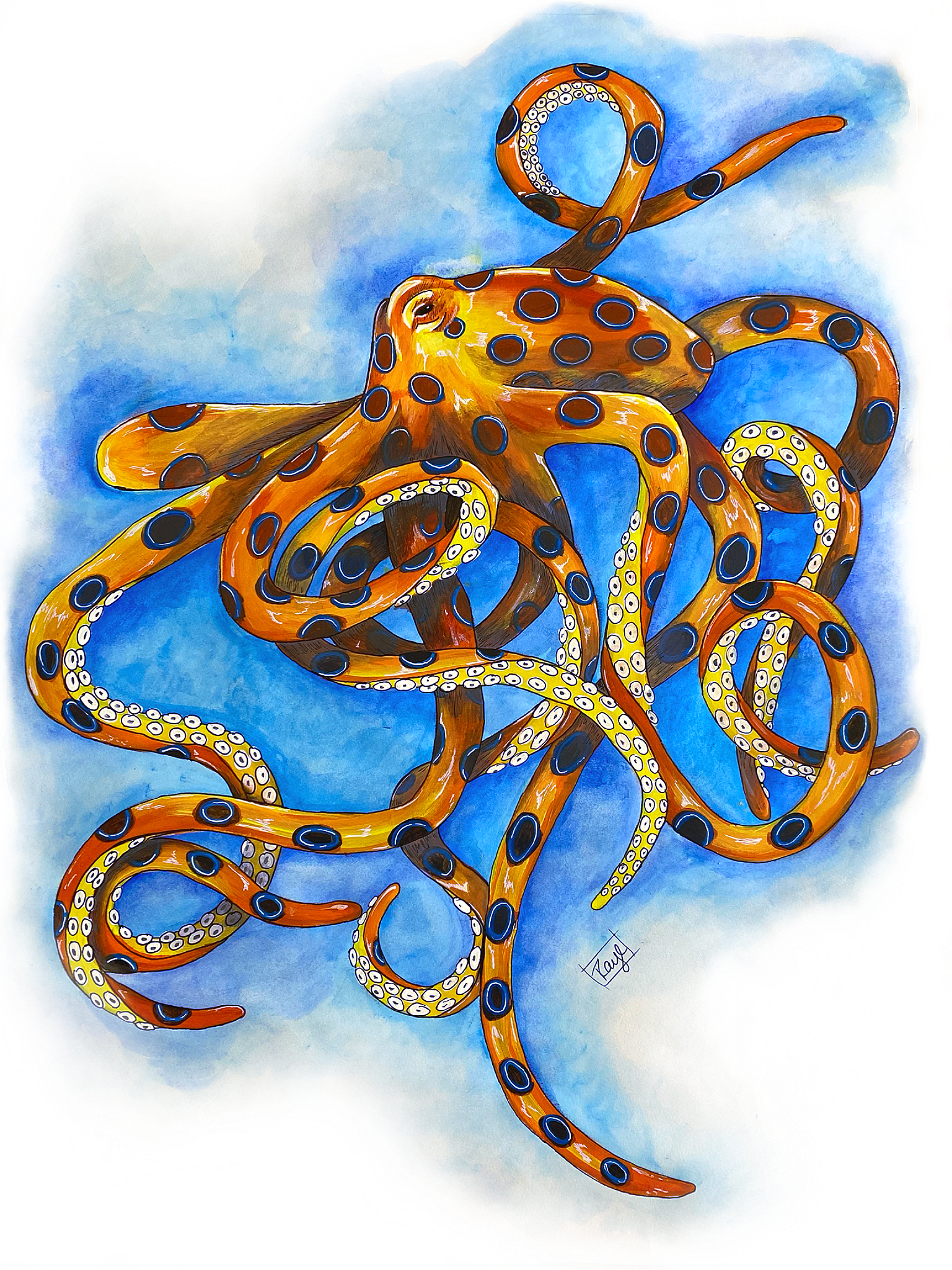 Giclee art on Canvas-Octopus-Raye&